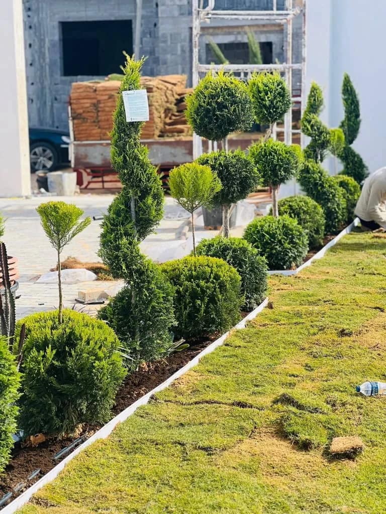 تنفيذ كافة المخططات الزراعية وتنسيق الحدائق ، صورة 4